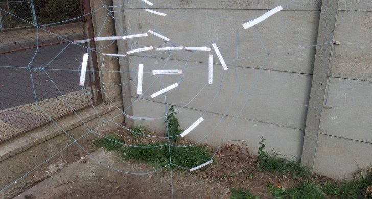 010.jpg